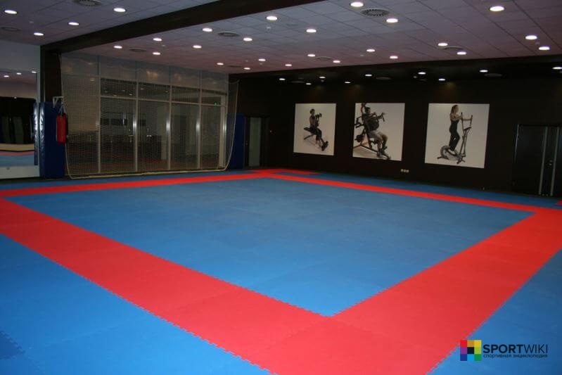 taekwondo competition area